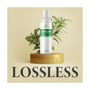 Lossless